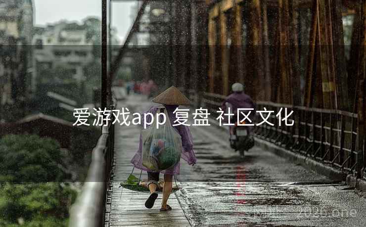 爱游戏app 复盘 社区文化 爱游戏app 复盘 社区文化