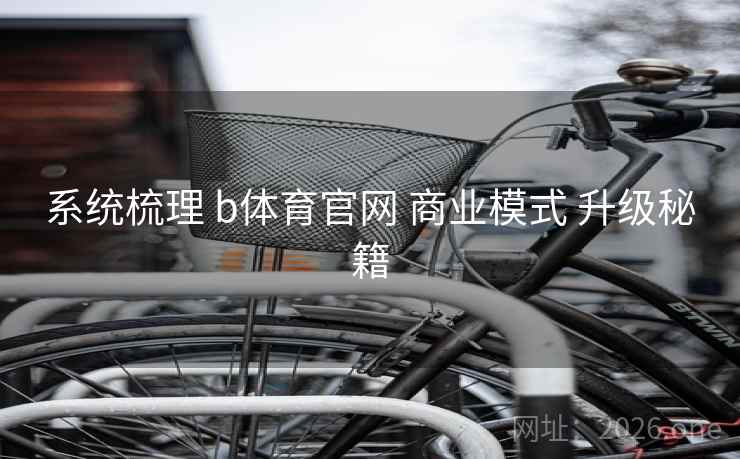 系统梳理 b体育官网 商业模式 升级秘籍