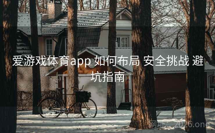 爱游戏体育app 如何布局 安全挑战 避坑指南