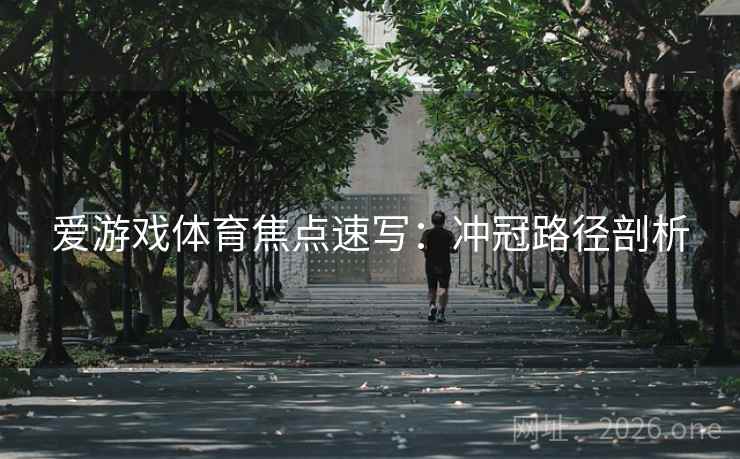 爱游戏体育焦点速写：冲冠路径剖析