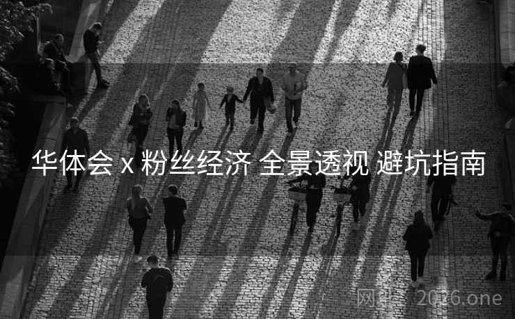 华体会 x 粉丝经济 全景透视 避坑指南 华体会 x 粉丝经济 全景透视 避坑指南