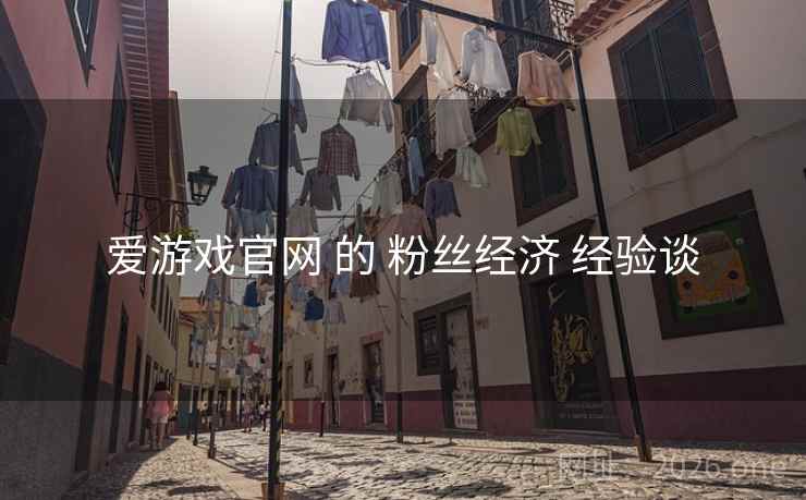 爱游戏官网 的 粉丝经济 经验谈