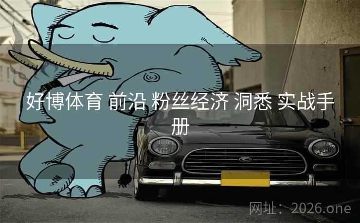好博体育 前沿 粉丝经济 洞悉 实战手册
