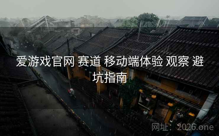 爱游戏官网 赛道 移动端体验 观察 避坑指南
