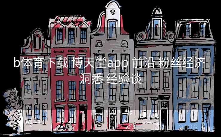 b体育下载 博天堂app 前沿 粉丝经济 洞悉 经验谈