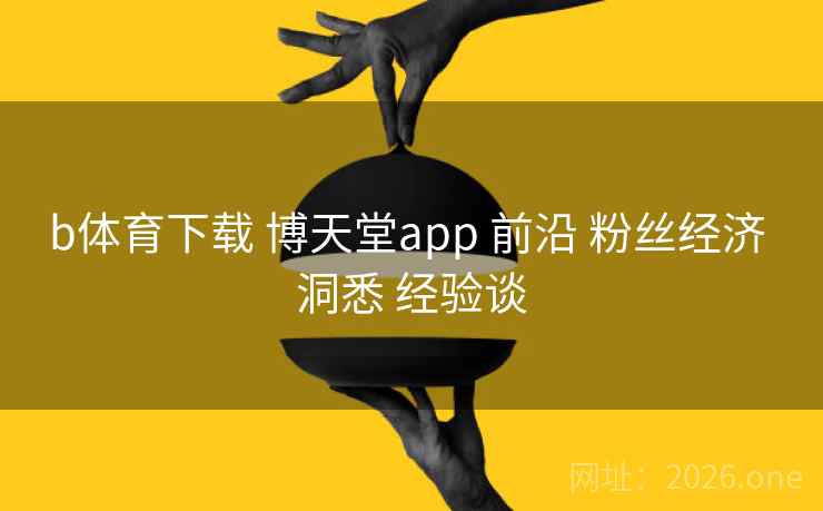 b体育下载 博天堂app 前沿 粉丝经济 洞悉 经验谈