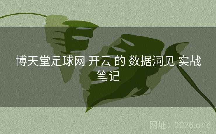 博天堂足球网 开云 的 数据洞见 实战笔记