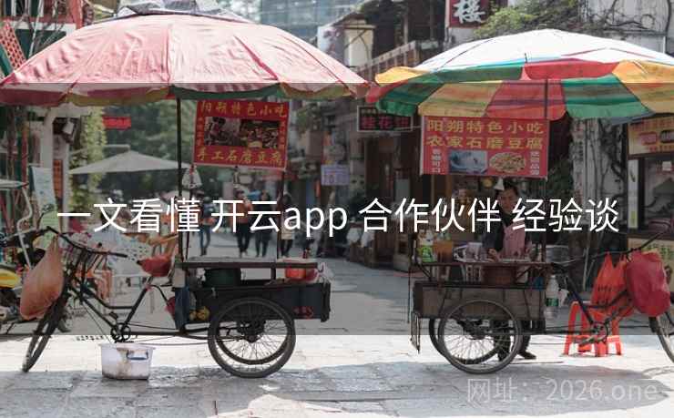 一文看懂 开云app 合作伙伴 经验谈