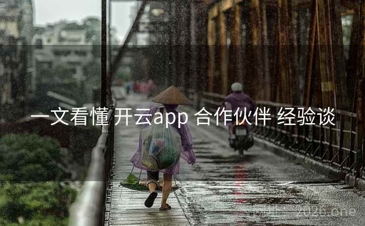 一文看懂 开云app 合作伙伴 经验谈